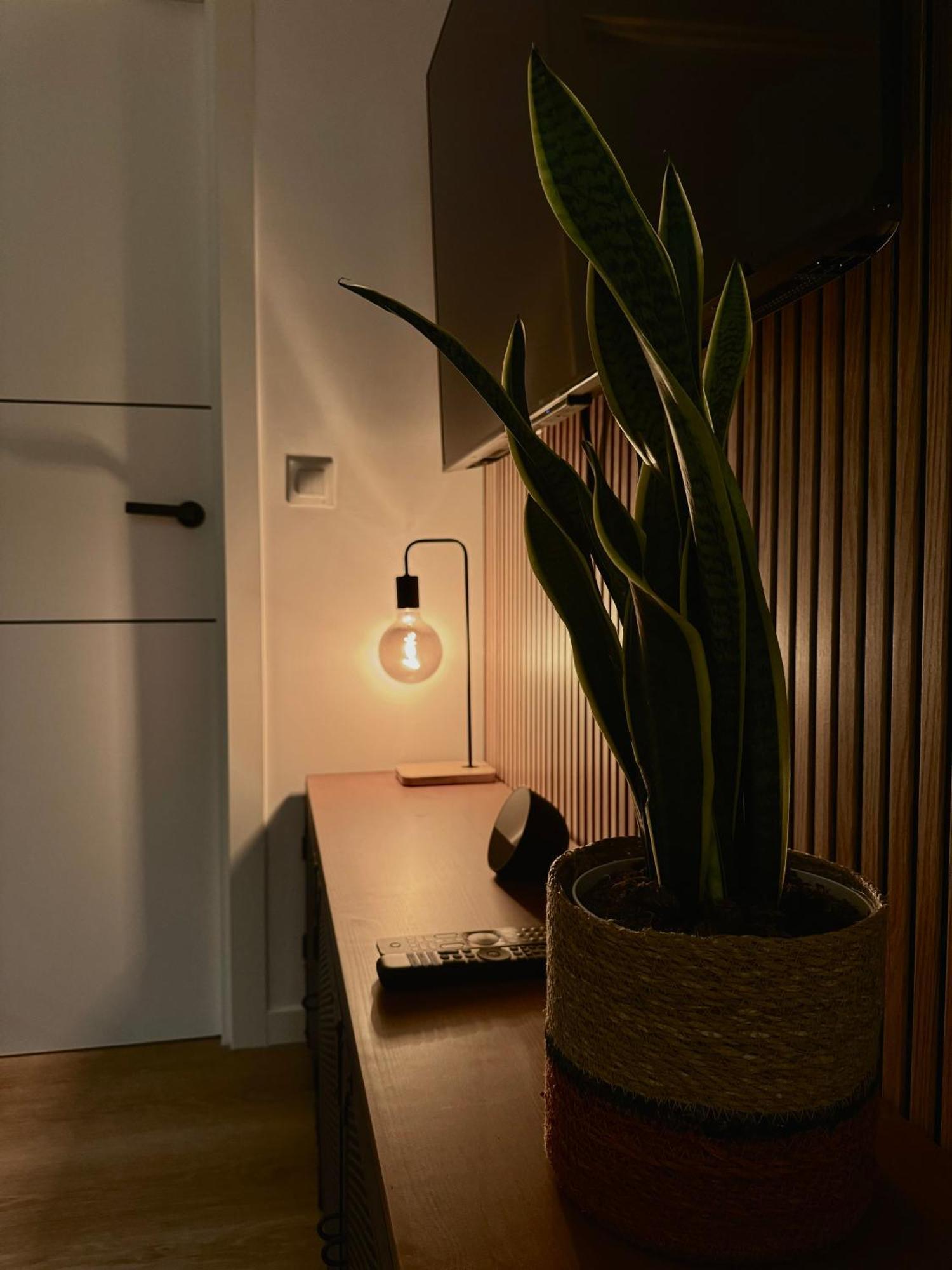 Kilometro 22 Luxury Apartment Padron Ngoại thất bức ảnh
